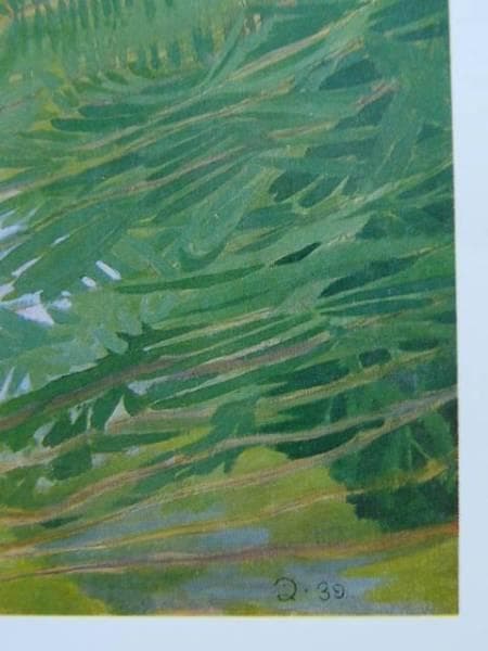 伊藤 久三郎、合歓の木、額装用画集より、新品額装付、状態良好 - メルカリ