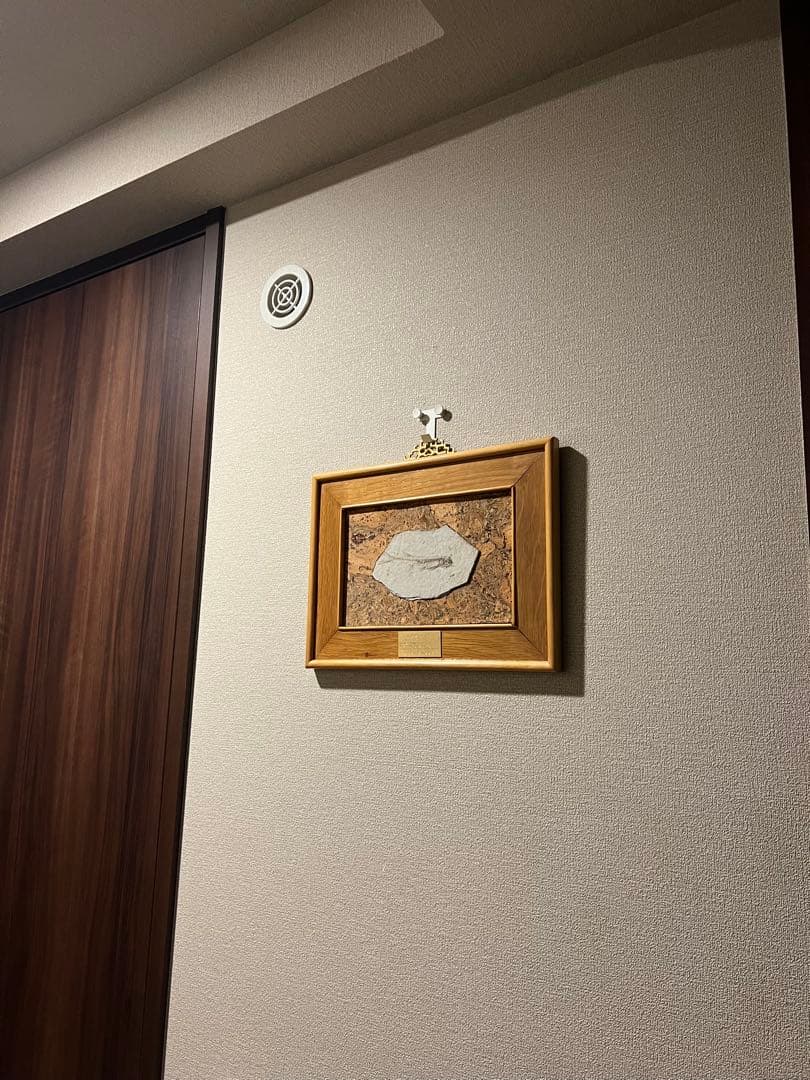 鑑定プレート付ジュラ紀魚化石LYCOPTERA木製額中国遼寧省産後期標本