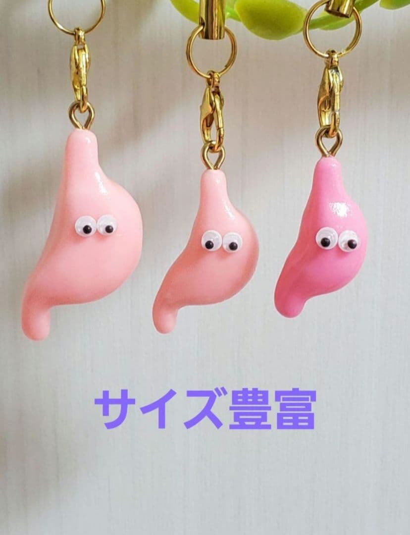胃 手作り臓器キーホルダー - メルカリ
