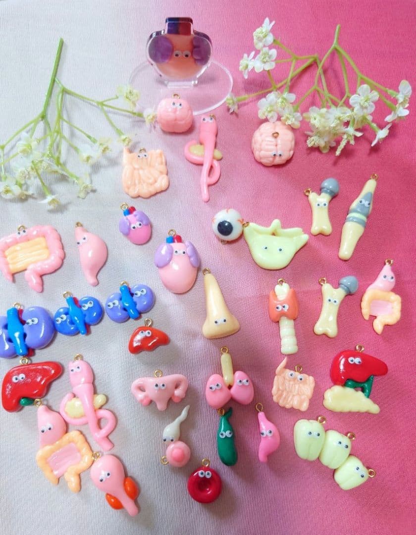 胃 手作り臓器キーホルダー - メルカリ