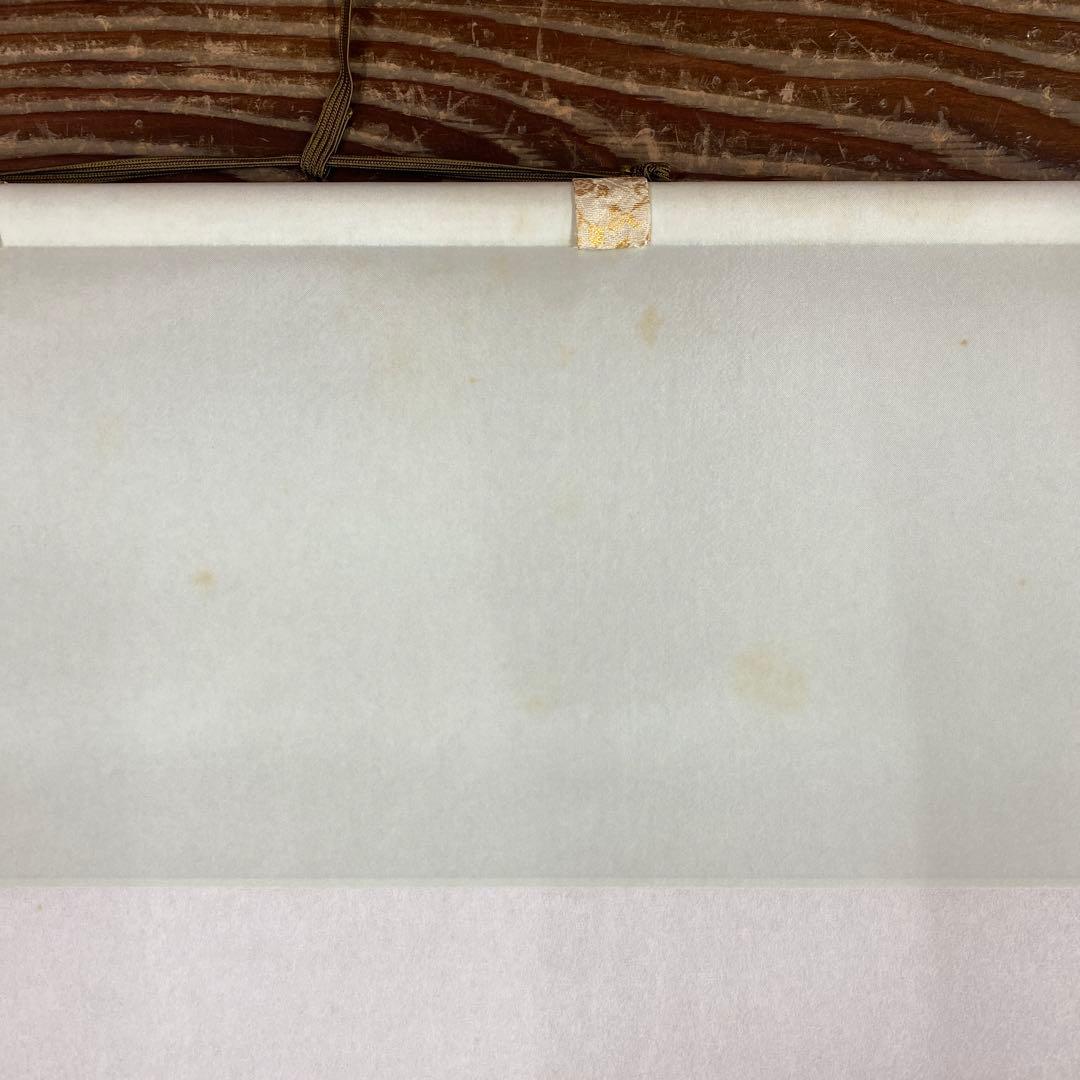 美品 掛け軸 酒井抱一筆「七草図」印刷 解説付き おもてなし