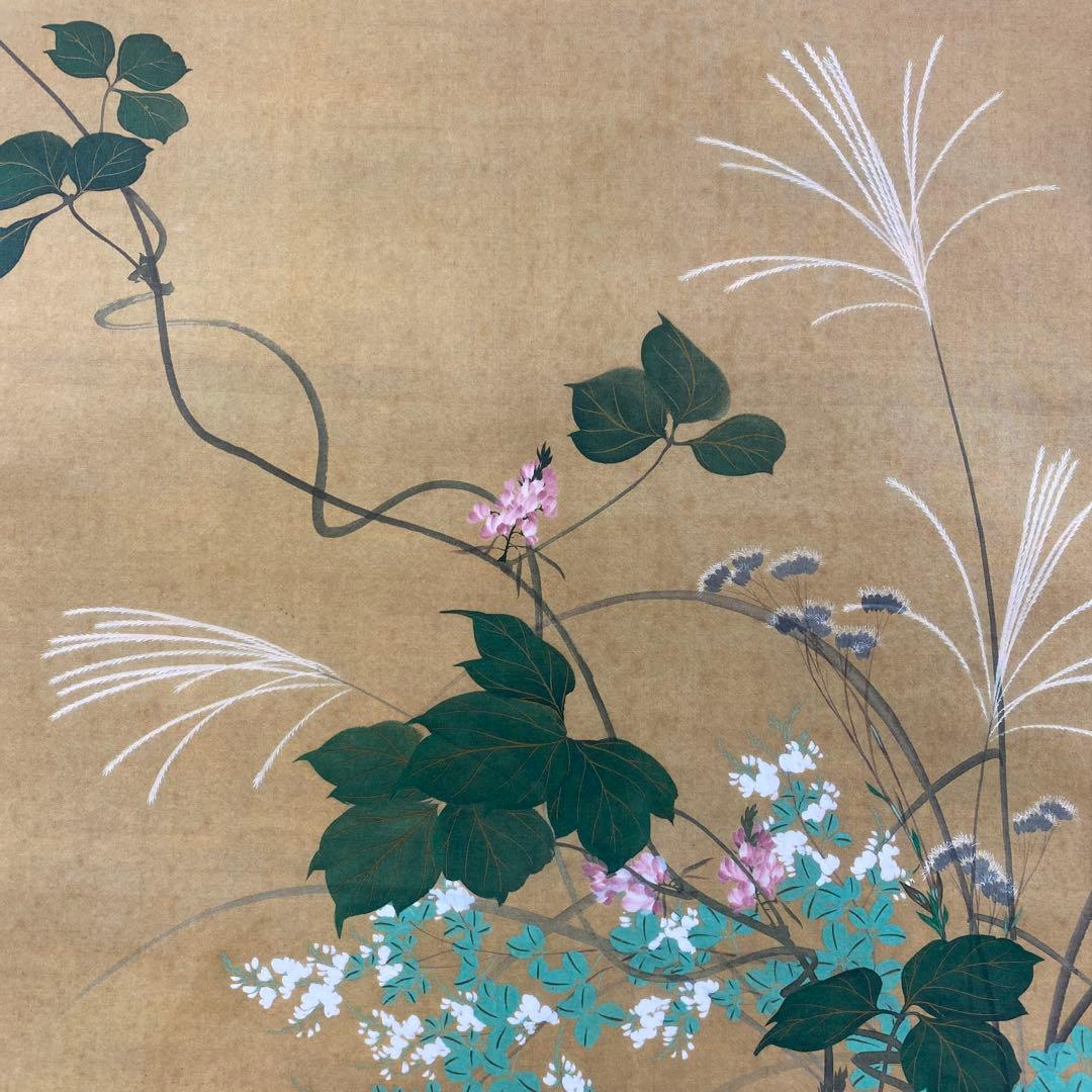 美品 掛け軸 酒井抱一筆「七草図」印刷 解説付き おもてなし