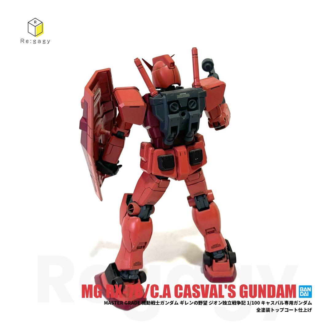 MG キャスバル専用ガンダム 全塗装 1/100 プラモデル 完成品 バンダイ