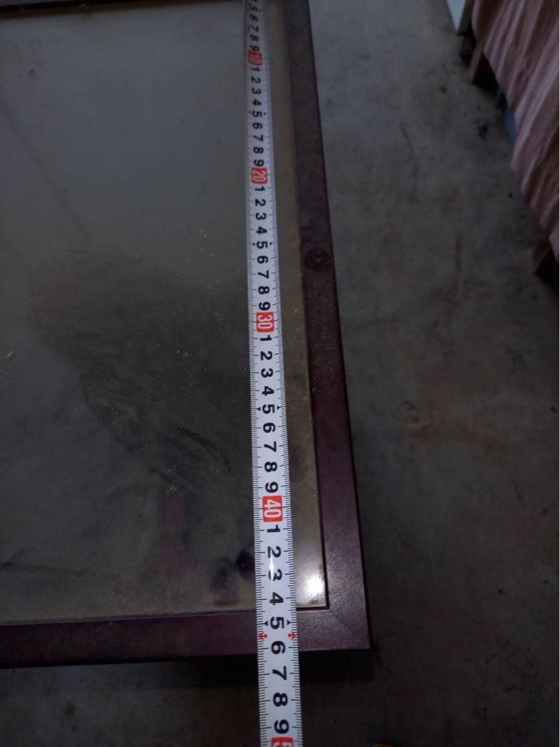 フクロウの剥製