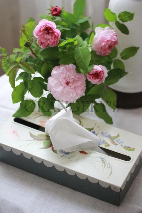 【セール中】1960年ヴィンテージオリーブグリーンスティッシュカバー