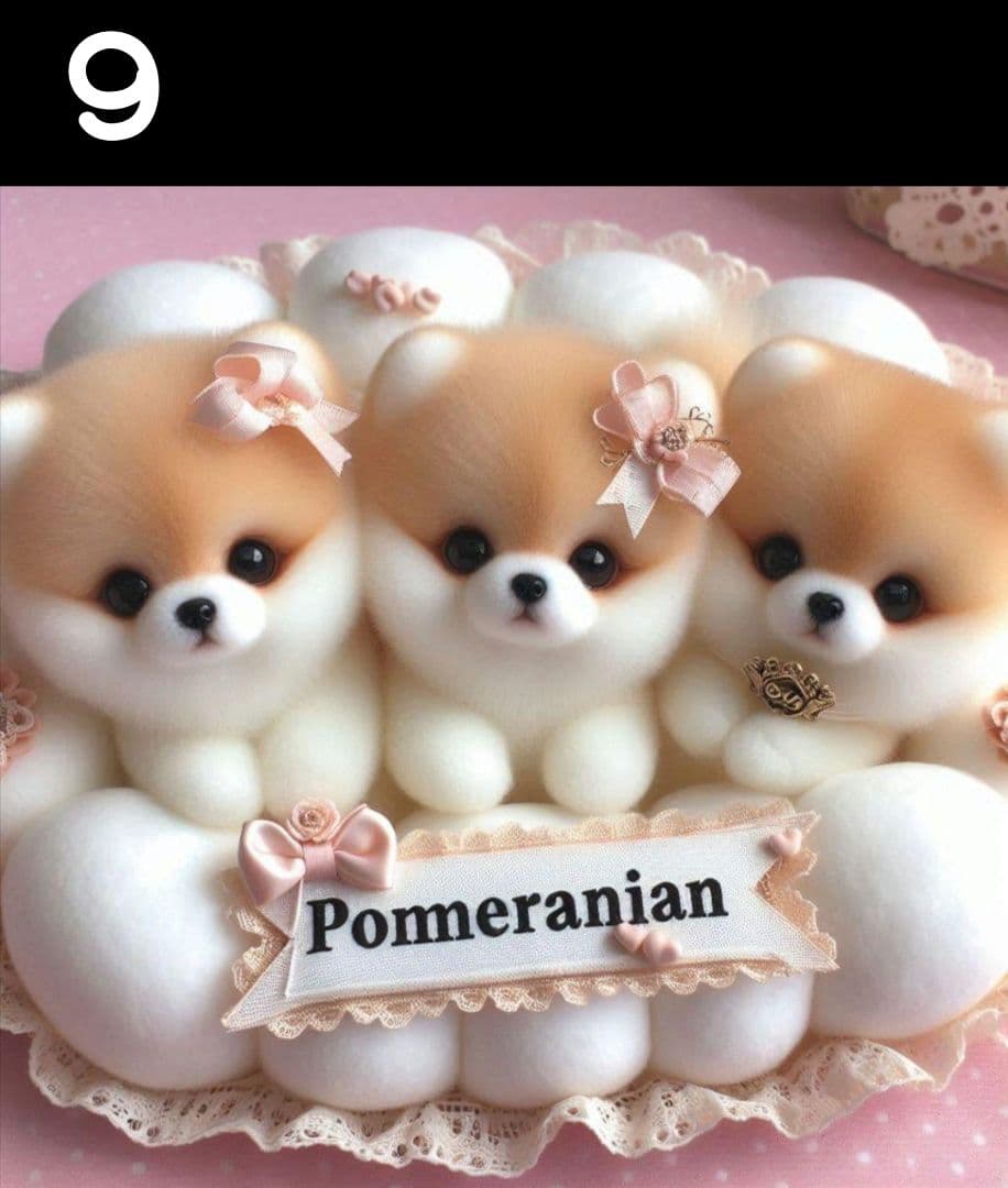 じゅんじゅん様　オーダーページ　5/16