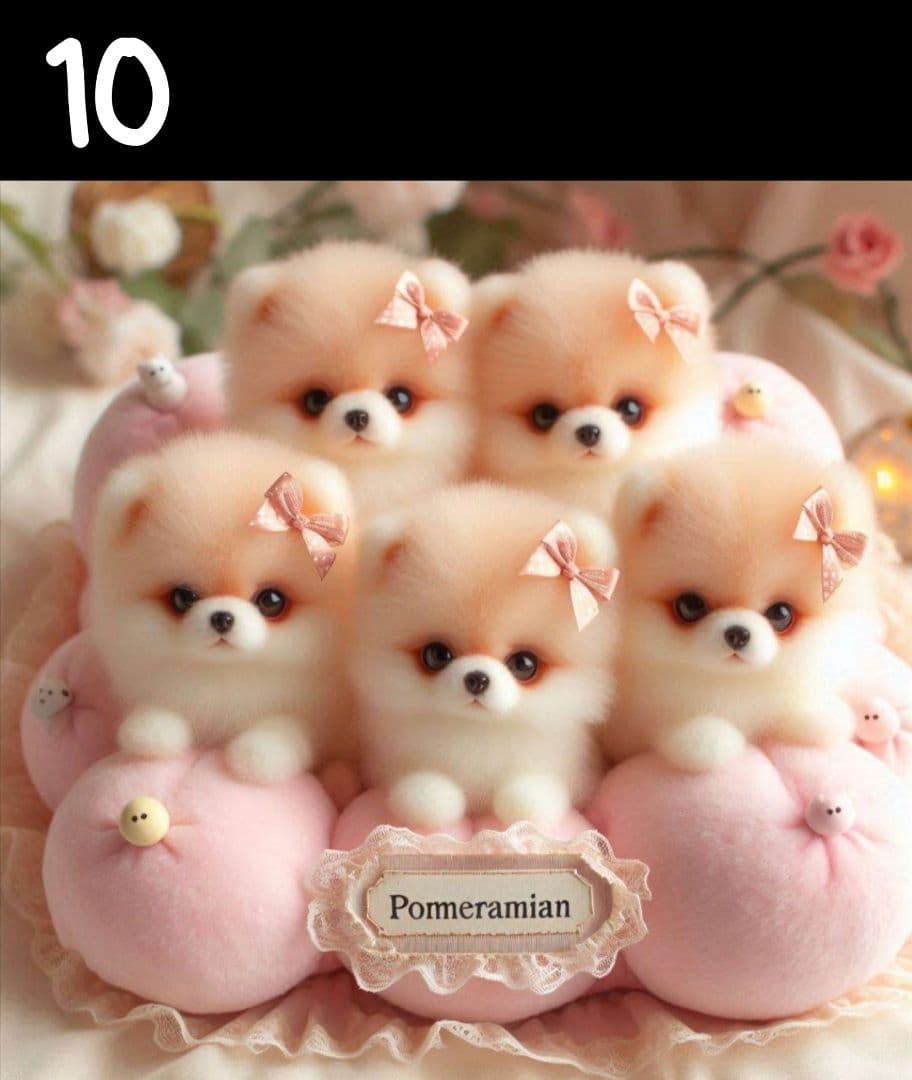 じゅんじゅん様　オーダーページ　5/16