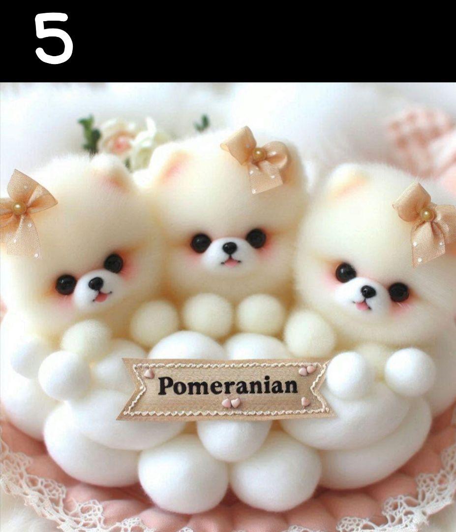 じゅんじゅん様　オーダーページ　5/16