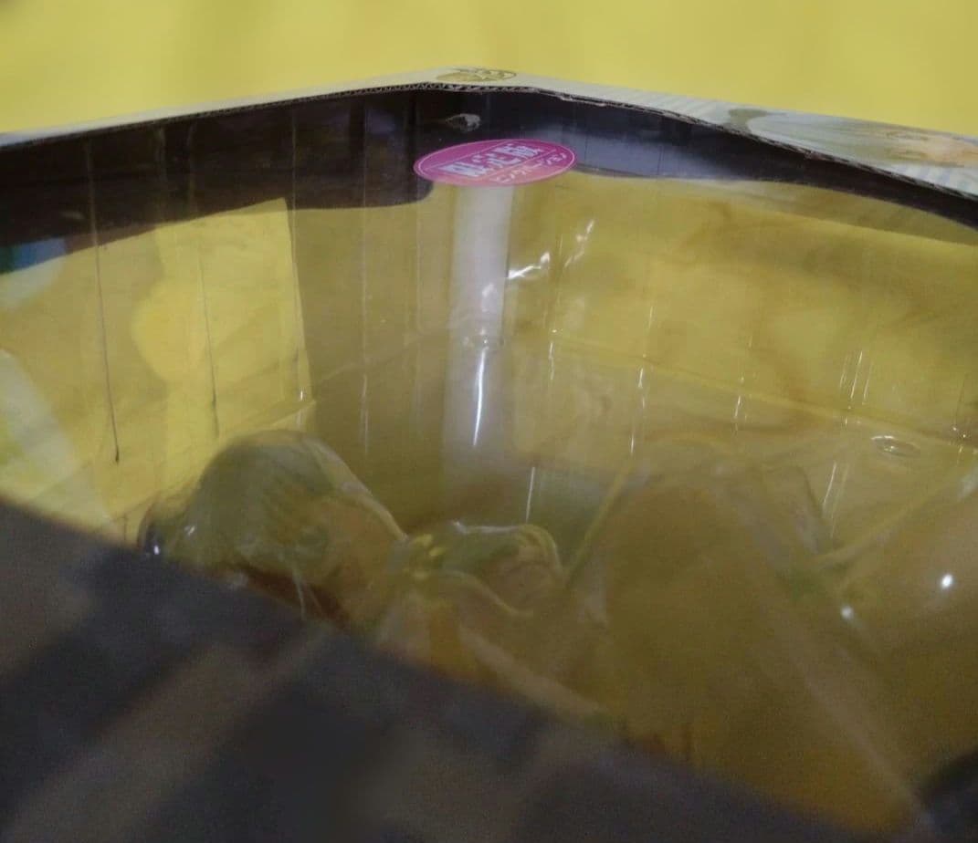 フルメタル・パニック　テレサ・テスタロッサ夏服ピンクバージョン 未開封