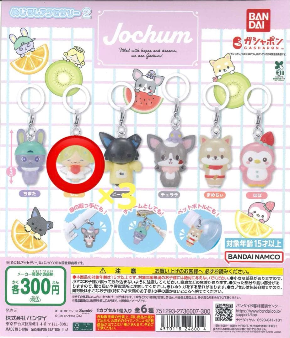 JOCHUMめじるしアクセサリー2 もこ - メルカリ