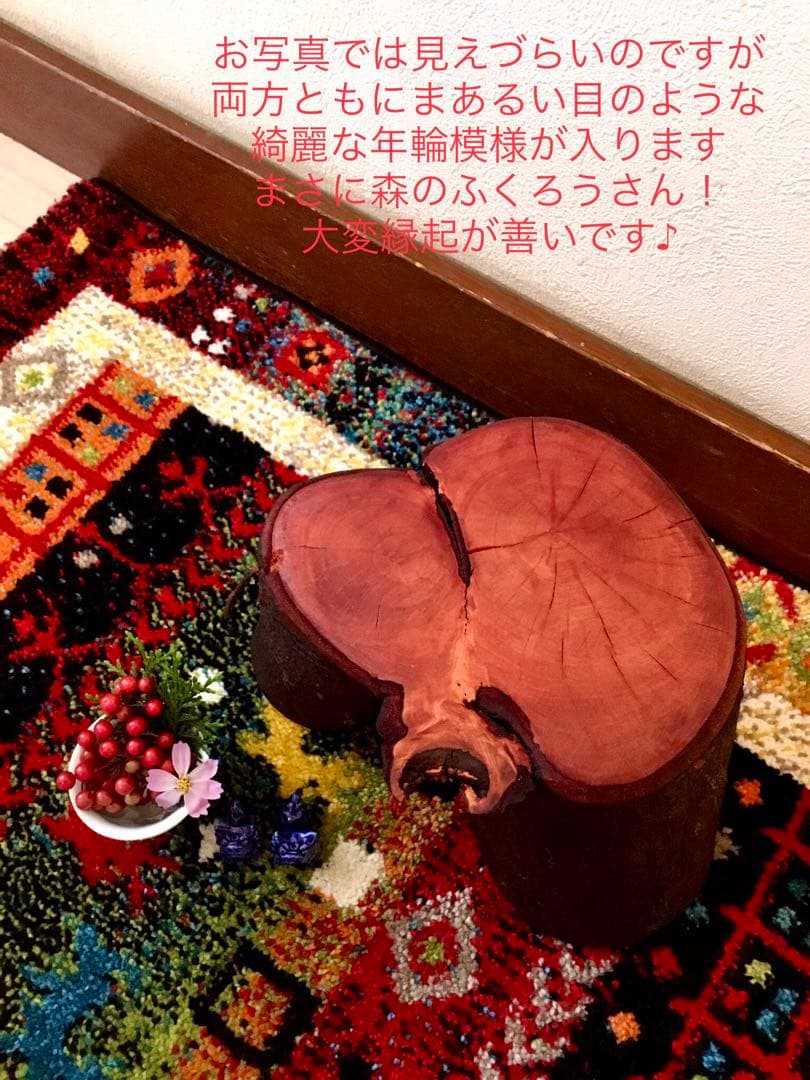 希少縁起木！天然木斛【年輪2つ！森と大自然の切り株飾り台