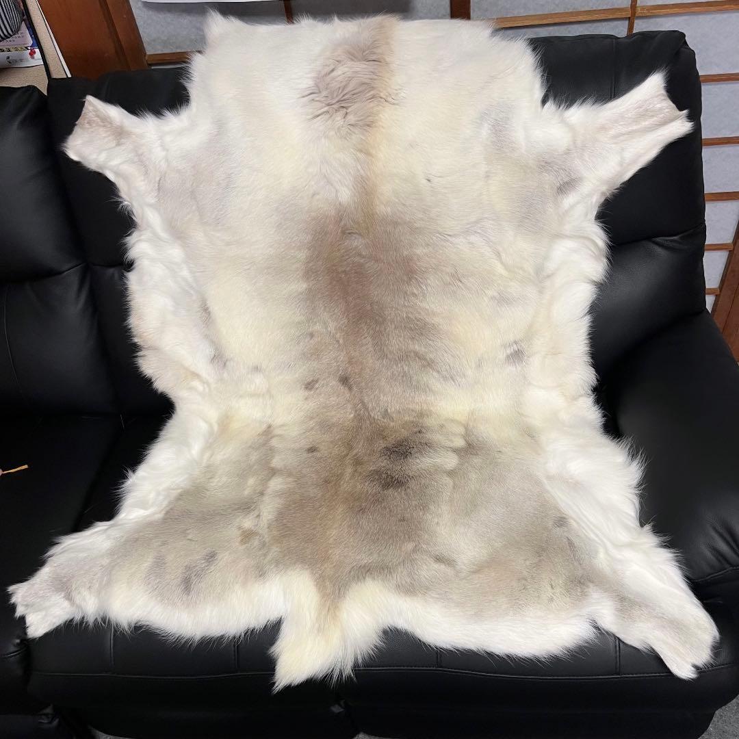 希少品】 トナカイ 毛皮 フィンランド ラップランド 極上 - メルカリ