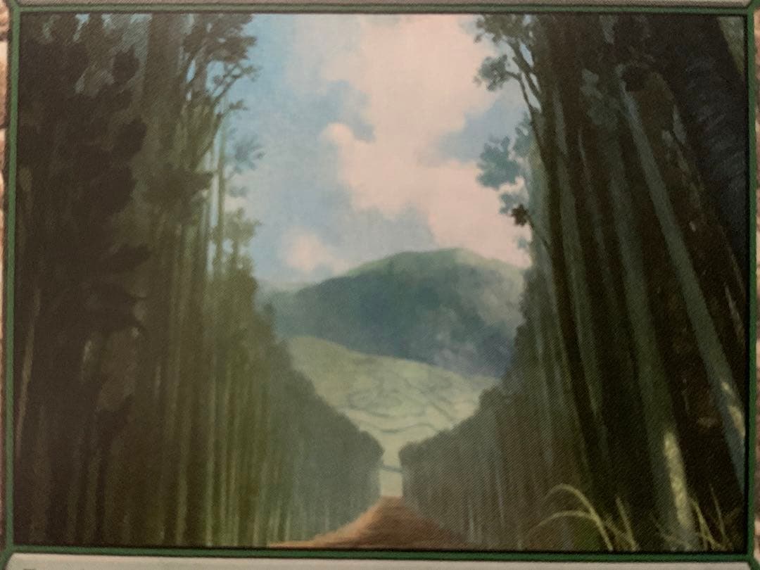 MTG エラーカード 1枚 島 森 メルカリ限定出品 - メルカリ