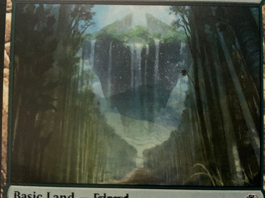 MTG エラーカード 1枚 島 森 メルカリ限定出品 - メルカリ