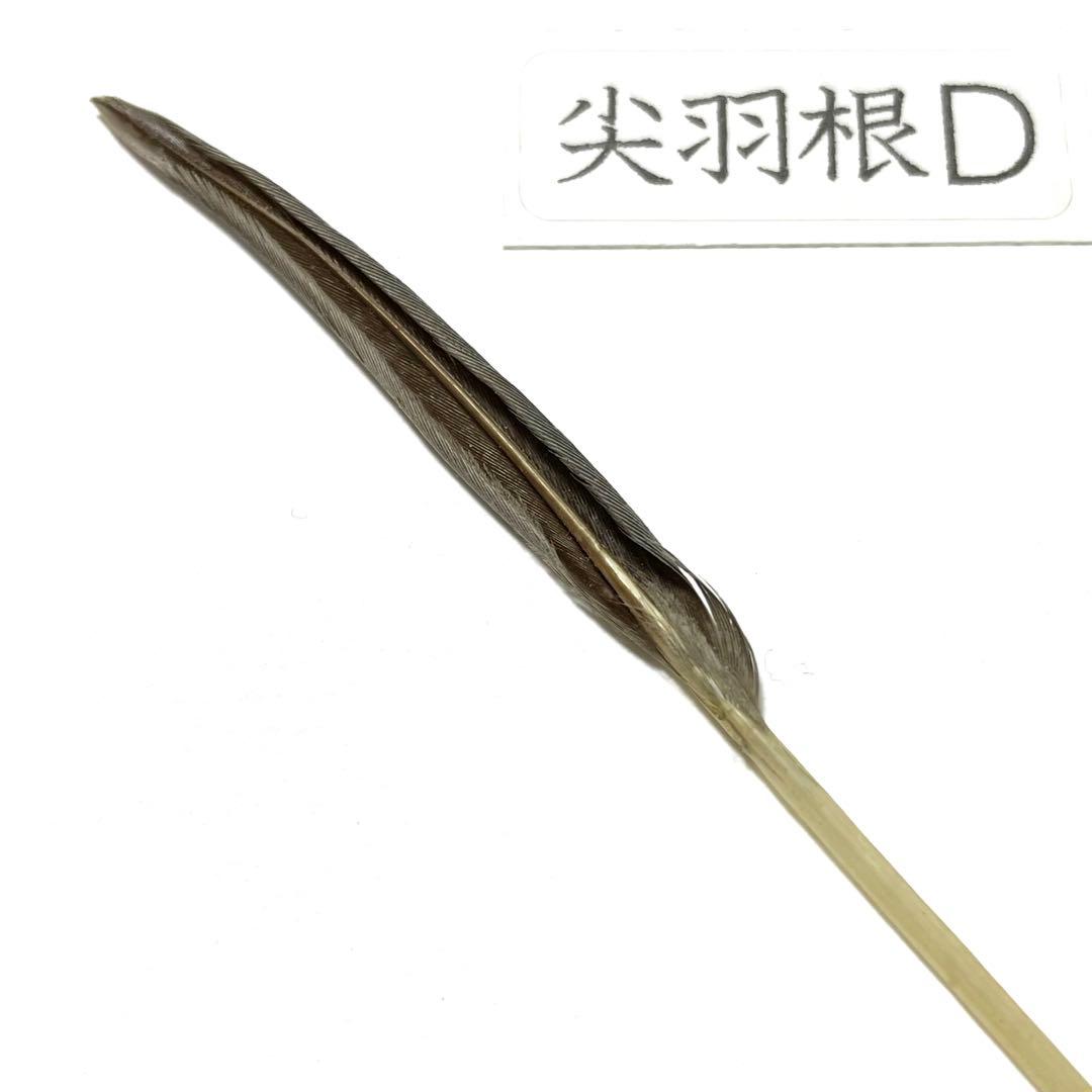 盆石道具 尖羽根 (D)