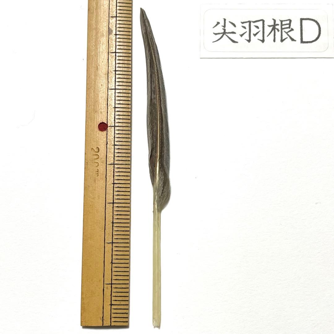 盆石道具 尖羽根 (D)