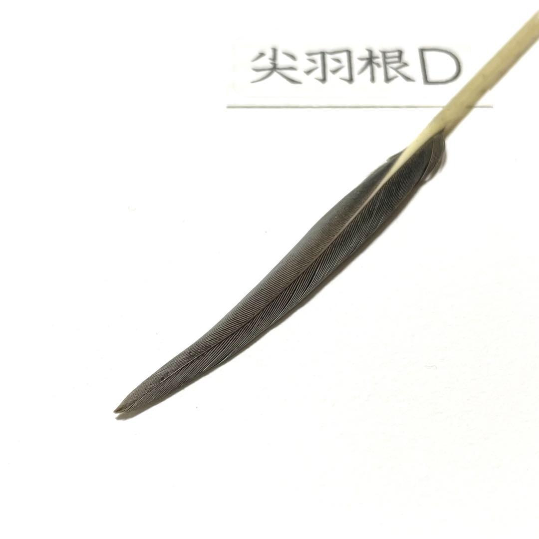 盆石道具 尖羽根 (D)