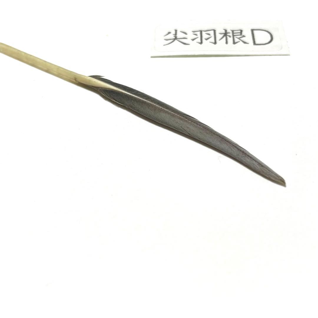 盆石道具 尖羽根 (D)