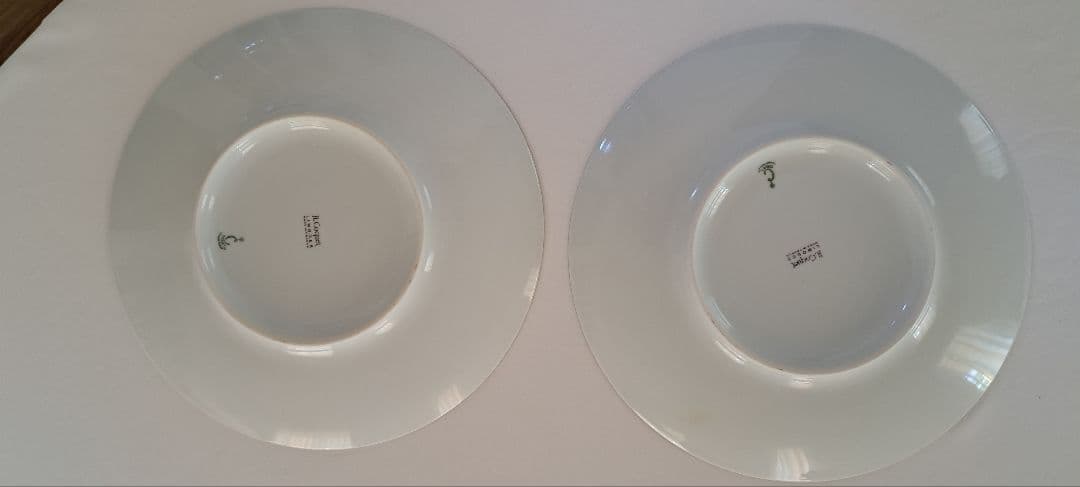 J.L Coquet ジャン・ルイ・コケ　ゴールドストライプ 大皿2枚セット