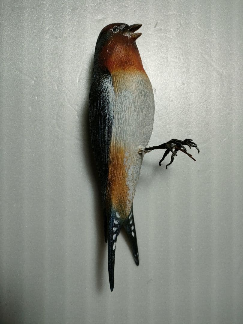 リュウキュウツバメ　バードカービング