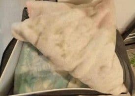 OSAKA NISHIKAWA 毛布セット シングル2枚