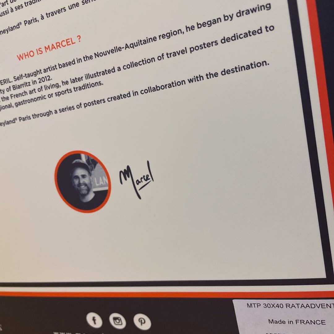 レア☆ディズニーランドパリ レミー 絵 フランス