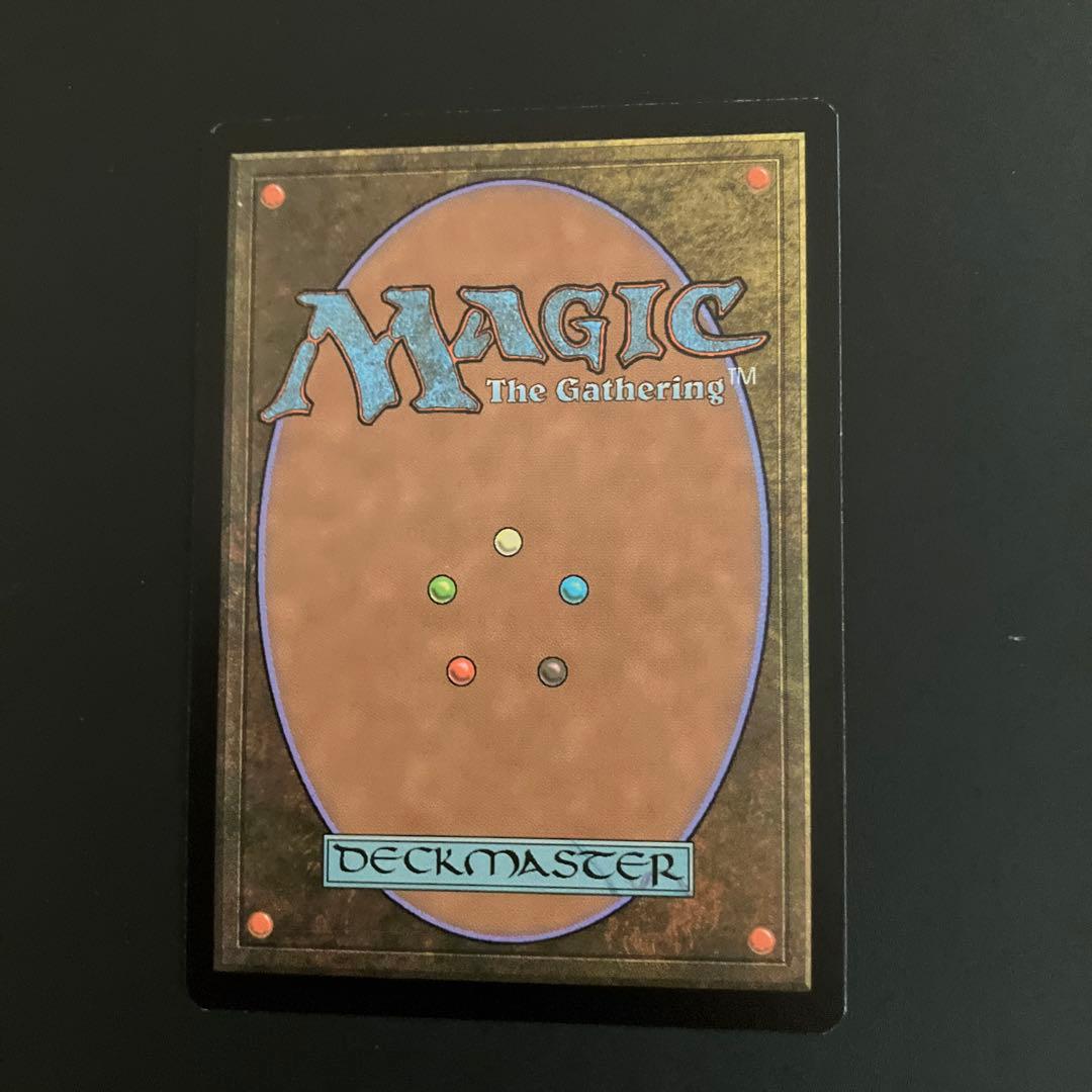 ZEN:霧深い雨林:日本語FOIL 1枚