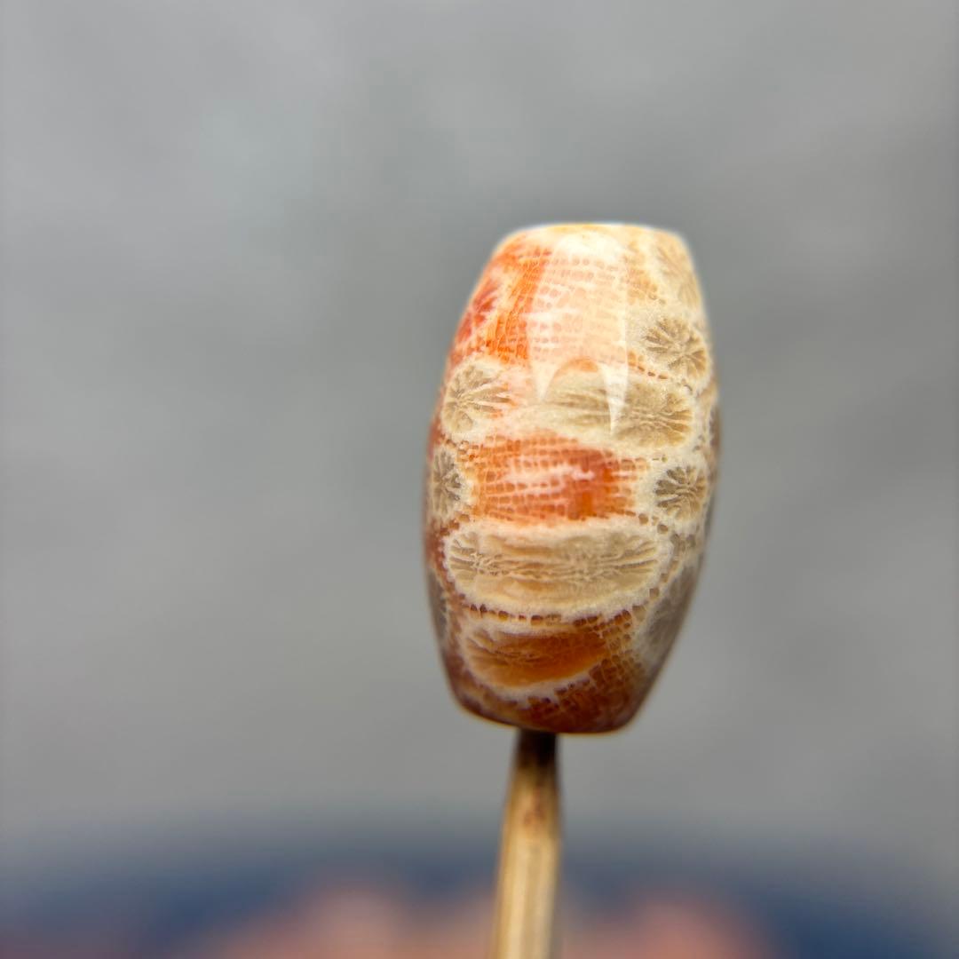 Nagiフォッシルコーラル　天珠　1-292