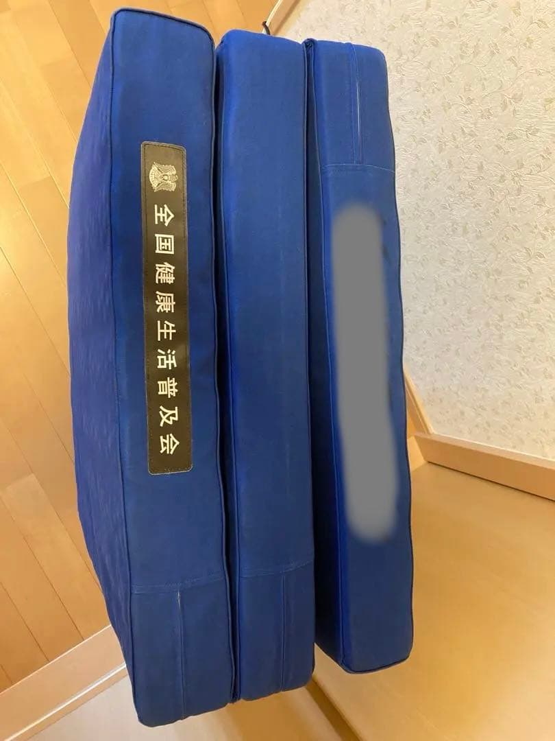 全国健康生活普及会　ヘルスウェーブゴールドNSP マットレス/収納袋/あおたけ