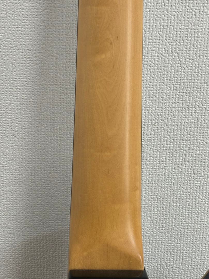 PROGAUGE by SCHECTER PS-600 7弦 モデルシェクター