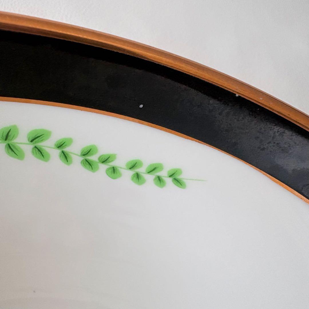 リンチェイス　Lynn Chase Jaguar Jungle 大型ボウル