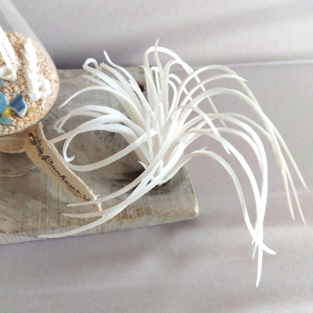 シーグラスアート&硝子のツリー二点セット