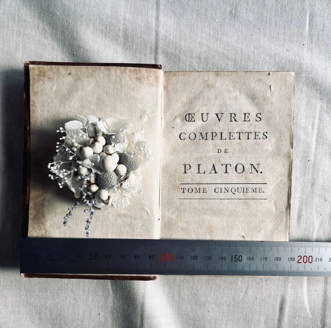 フラワー・ガーデニング corsage no.777