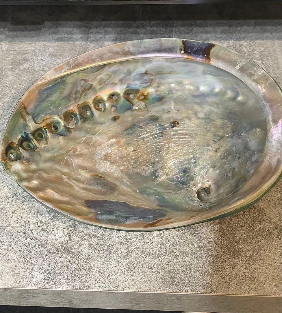 貝殻　ターコイズブルー　夜光貝　アバロンシェル　トレイ