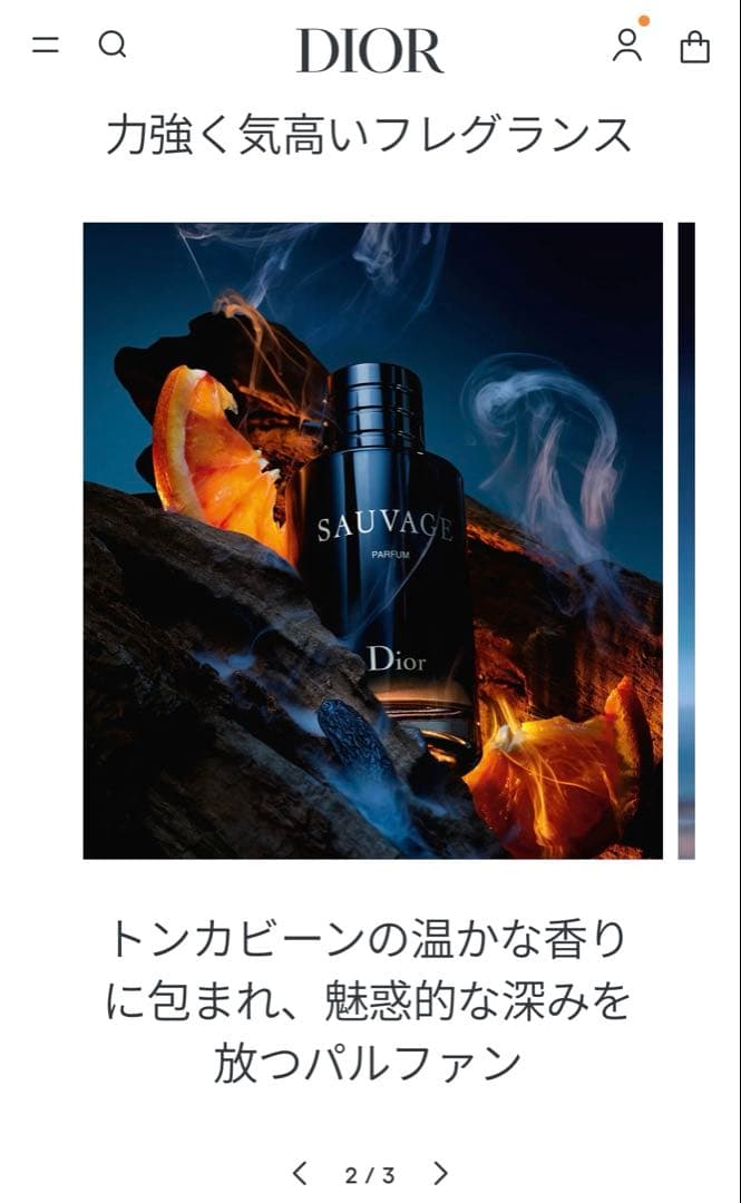 正規品 Dior SAUVAGE PARUM 30ml