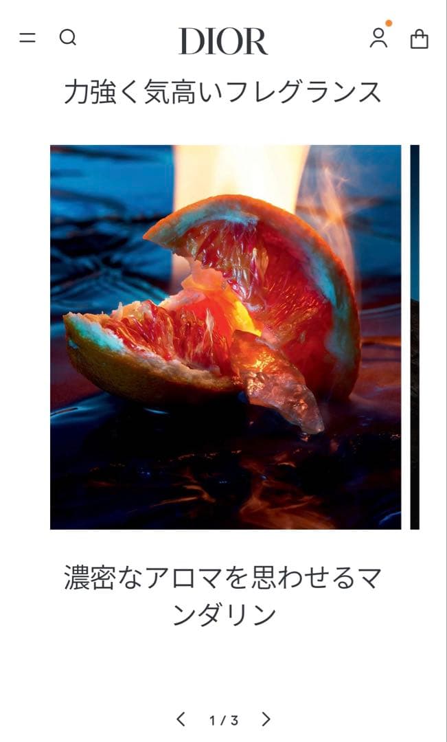 正規品 Dior SAUVAGE PARUM 30ml