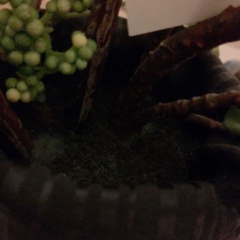 EMILIO ROBBA(エミリオロバ) マグノリア(木蓮) アートフラワー