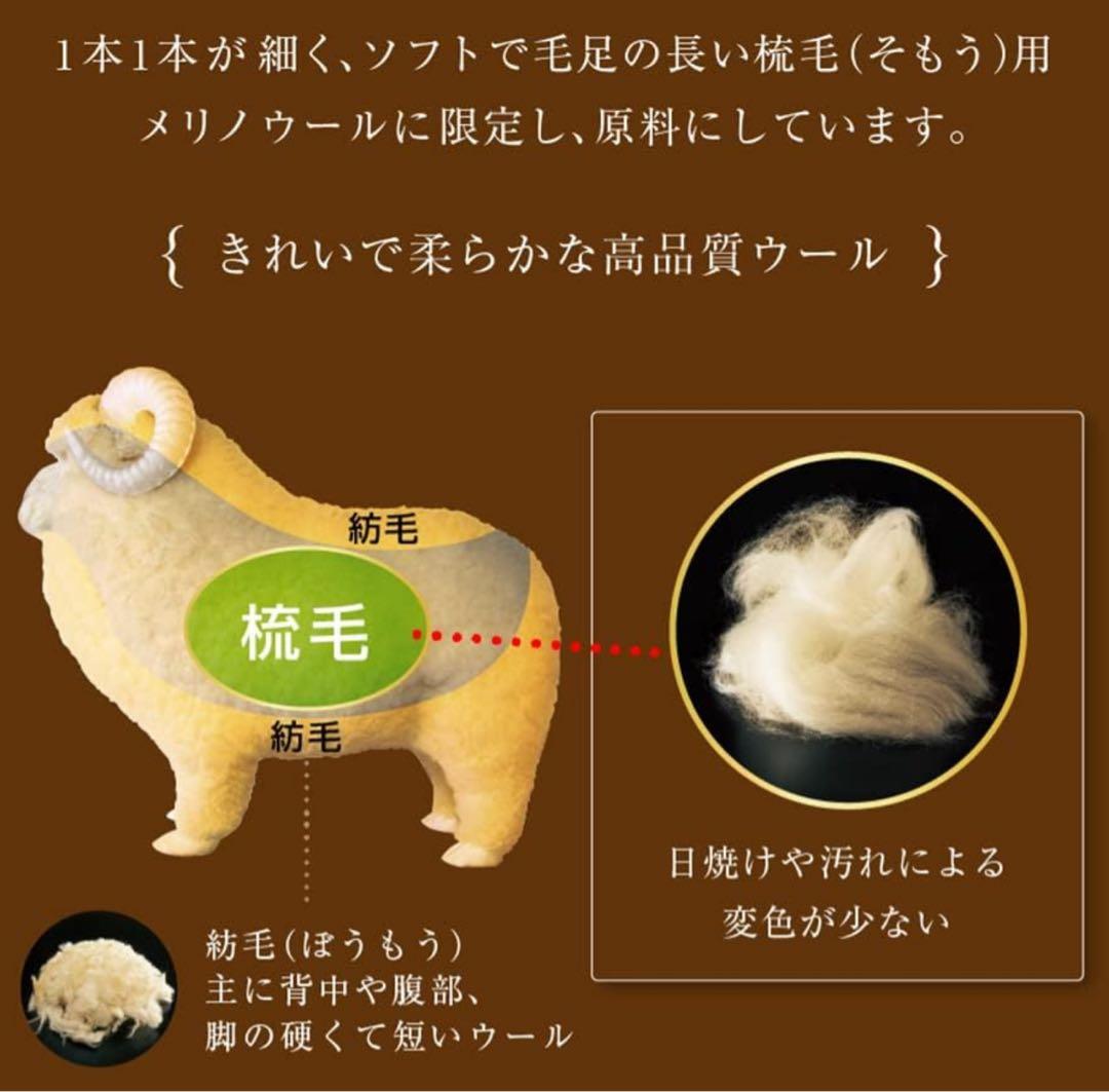 The PREMIUM Sofwool 敷き毛布 D(ダブル)