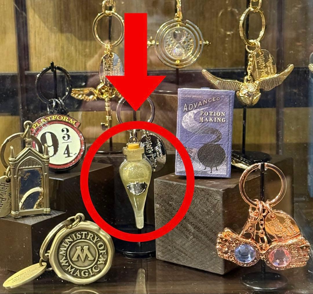 ハリーポッター USJ キーチェーン フェリックスフェリシス 幸運の液体