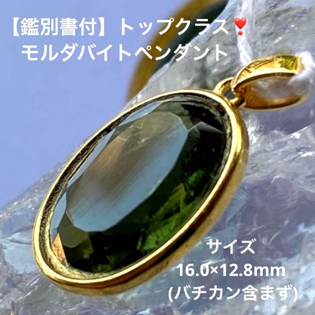 18 クリスマスローズ種 蜃気楼交配 終了致しました。