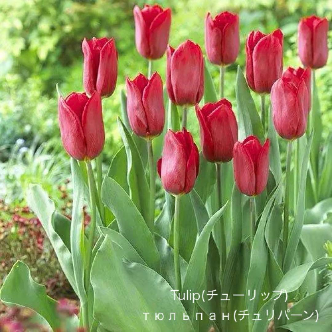 ロシア雑貨☆イースターエッグ型カービングマトリョーシカ(3P)フラワーバスケット