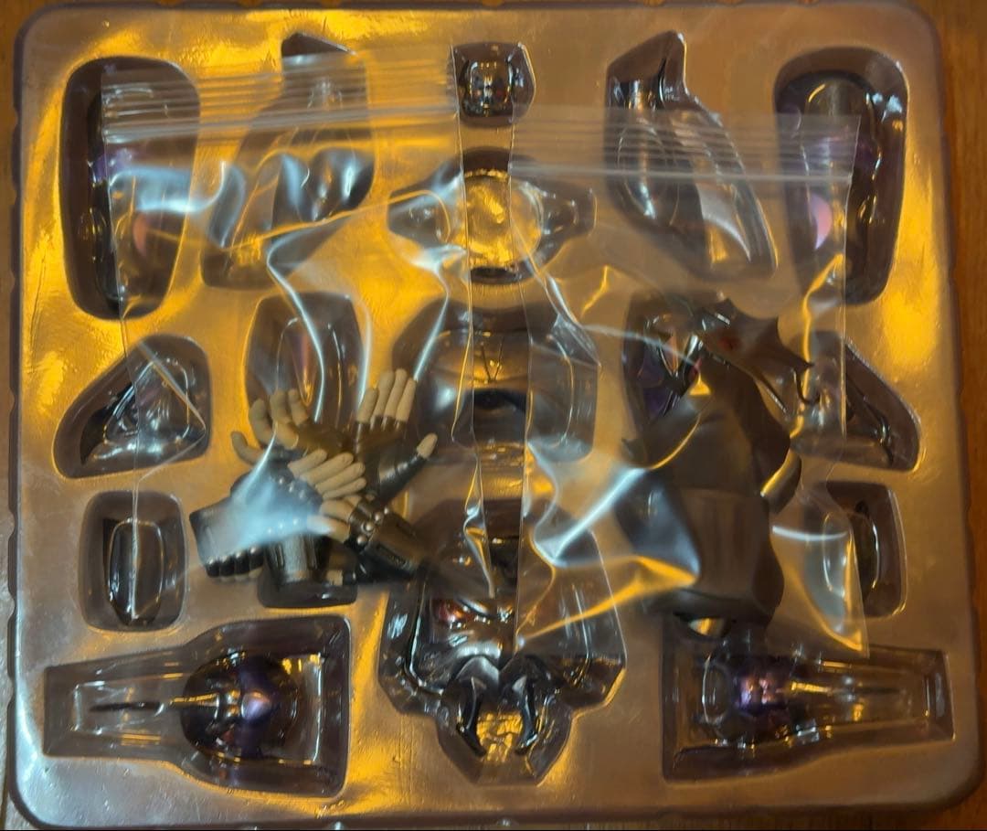 聖闘士聖衣神話EXサイズ　聖闘士星矢　ドクラテス　冥衣　約25cm