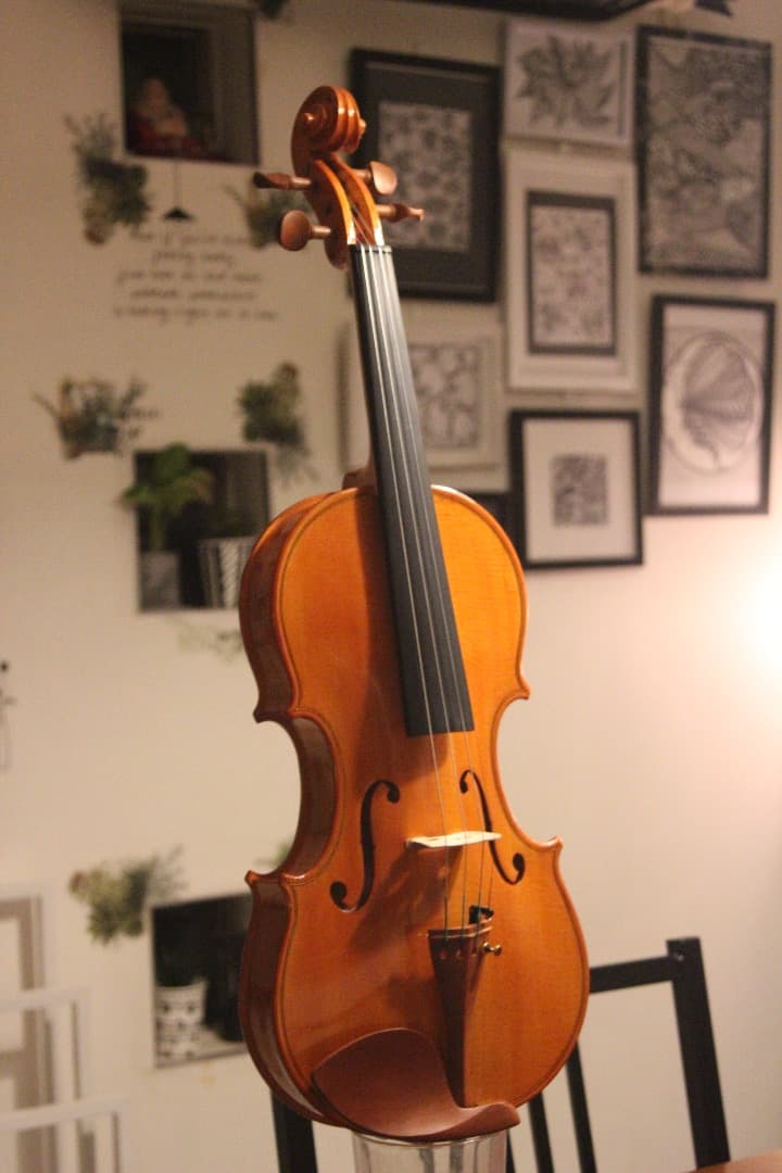 1/5更新.製作楽器②】バイオリン(クレモネーゼモデル) 4/4 2025 - メルカリ
