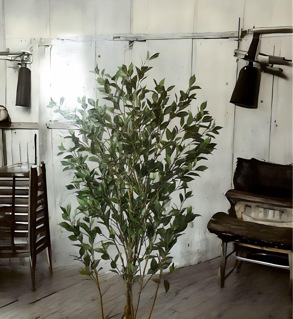 光触媒　人工観葉植物　ウォールグリーン　フェイクグリーン　フィカスシャングリア