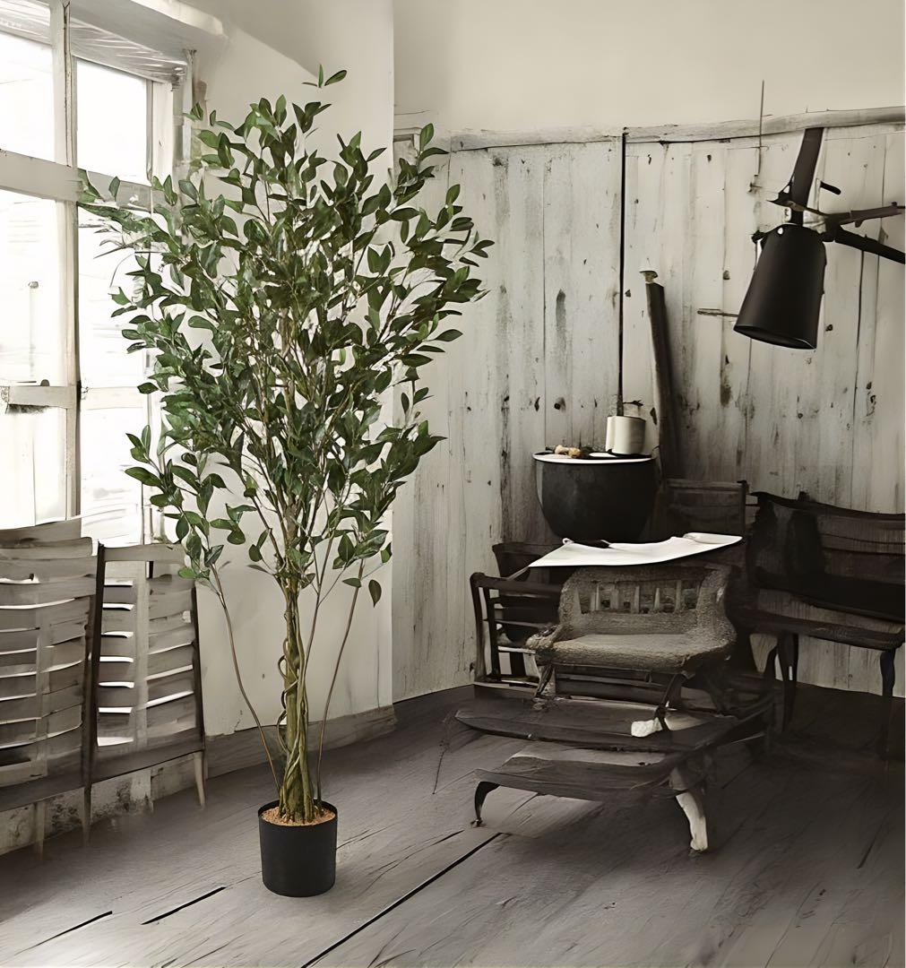 光触媒　人工観葉植物　ウォールグリーン　フェイクグリーン　フィカスシャングリア