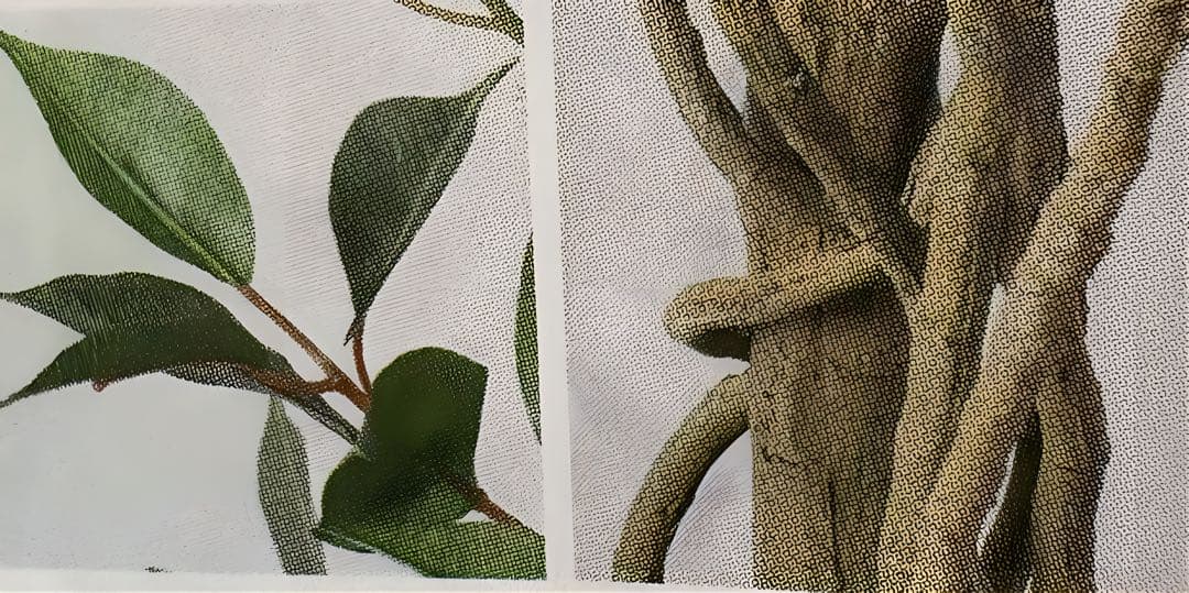 光触媒　人工観葉植物　ウォールグリーン　フェイクグリーン　フィカスシャングリア