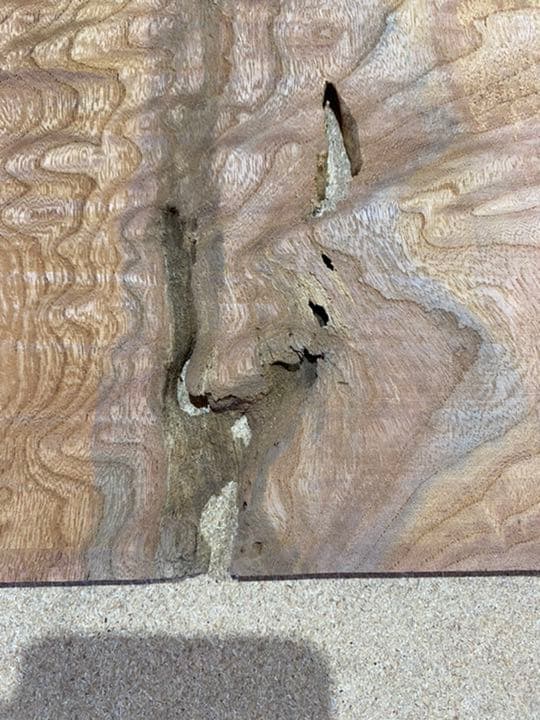 [即購入OK] 欅　玉杢　如輪杢　絵巻杢　ストーリーのあるDIY素材　新品未使用