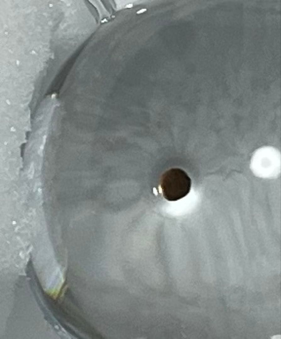 バカラ　miffy ミッフィー