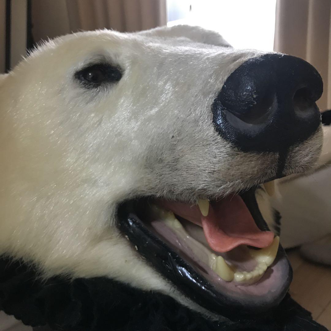 希少⭐︎‼︎ 白熊 剥製 カーペット - メルカリ