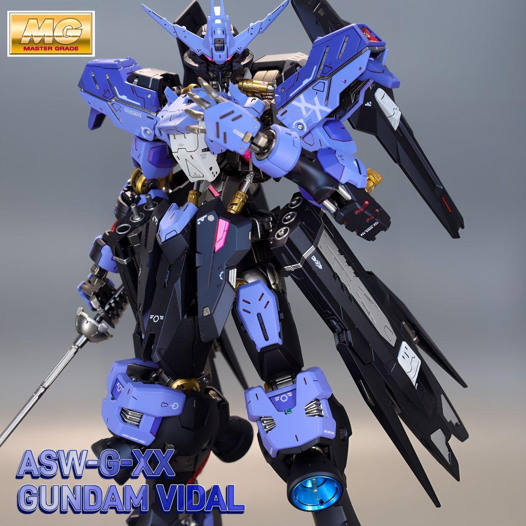 MG ASW-G-XX ガンダム ヴィダール　全塗装完成品